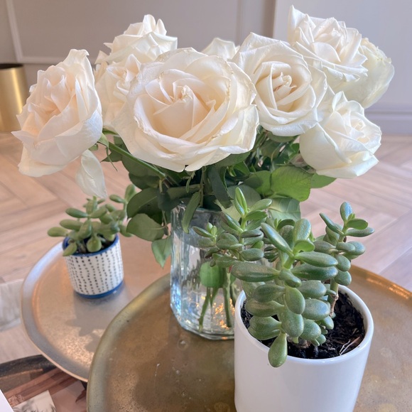 Meet your Posher, Pamela - Picture 1 of 1